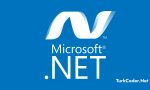 Asp.Net Sayfa Elemanları