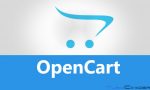 En İyi 10 Opencart Teması ve Eklentileri