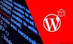 WordPress Malware Redirect Hack Nasıl Düzeltilir?