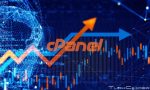 cpanel lisans ücreti zam